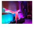 Seliquere (TW, D) Strip it off - Tipsy Bear Bar, Berlin - 10. Januar 2025 (4).JPG
